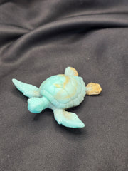 Tortue
