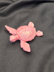 Tortue