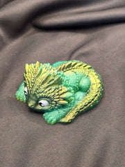 Bébé Dragon