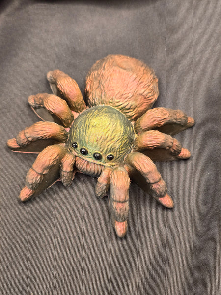 Araignée