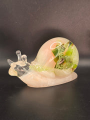 Escargot XL