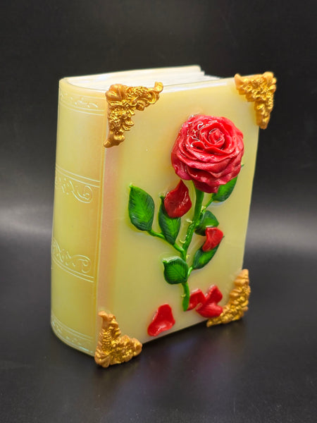 Boîte Livre